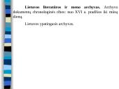 Dokumentų archyvavimas 9 puslapis