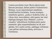 Džordžas Baironas 8 puslapis