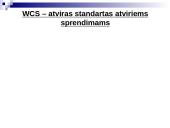 E-verslo pateiktis 11 puslapis