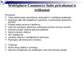 E-verslo pateiktis 15 puslapis