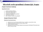 E-verslo pateiktis 17 puslapis