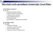 E-verslo pateiktis 18 puslapis