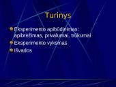 Eksperimentas 2 puslapis