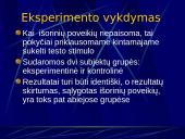 Eksperimentas 11 puslapis