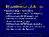 Eksperimentas 12 puslapis