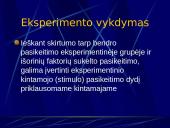 Eksperimentas 13 puslapis