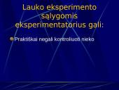 Eksperimentas 5 puslapis