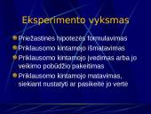 Eksperimentas 10 puslapis