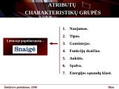 Ekspertinė sistema: šaldytuvo pasirinkimas 13 puslapis