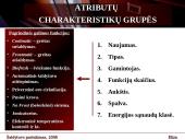 Ekspertinė sistema: šaldytuvo pasirinkimas 14 puslapis