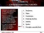 Ekspertinė sistema: šaldytuvo pasirinkimas 17 puslapis