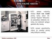 Ekspertinė sistema: šaldytuvo pasirinkimas 4 puslapis