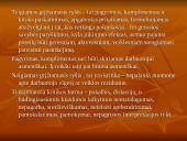 Elgesio priklausomybė nuo vaidmens ar situacijos 11 puslapis