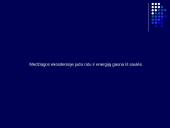 Energijos ir medžiagų virsmas ekosistemoje 4 puslapis