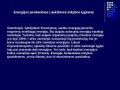 Energijos ir medžiagų virsmas ekosistemoje 5 puslapis