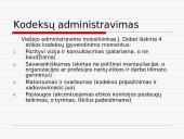 Etikos kodekso sąvoka ir tikslai 12 puslapis