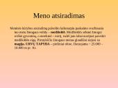 Europos meno raida 6 puslapis