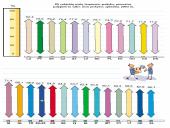 Europos Sąjunga (ES) ir jos narės 20 puslapis