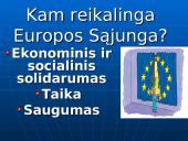 Europos Sąjunga (ES) ir jos narės 8 puslapis