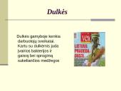 Fizinių veiksnių įtaka darbo aplinkai 14 puslapis