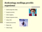 Fizinių veiksnių įtaka darbo aplinkai 5 puslapis