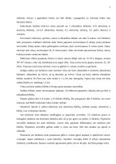 Furšeto aptarnavimo ypatumai 5 puslapis