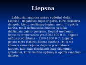 Gaisrų gesinimo priemonės 11 puslapis