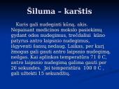 Gaisrų gesinimo priemonės 12 puslapis