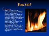 Gaisrų gesinimo priemonės 3 puslapis