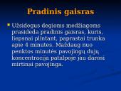 Gaisrų gesinimo priemonės 4 puslapis