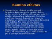 Gaisrų gesinimo priemonės 7 puslapis