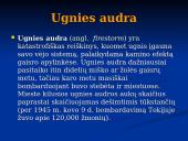 Gaisrų gesinimo priemonės 8 puslapis