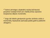 Galvinės pirmeigos užpakalinis vaizdas 3 puslapis