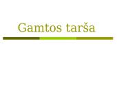 Gamtos tarša