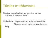 Gamtos tarša 2 puslapis