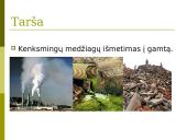Gamtos tarša 3 puslapis