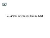 Geografinė informacinė sistema