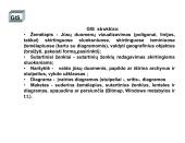 Geografinė informacinė sistema 11 puslapis