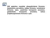 Geografinė informacinė sistema 12 puslapis