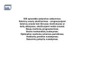 Geografinė informacinė sistema 14 puslapis