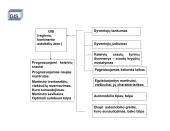 Geografinė informacinė sistema 16 puslapis