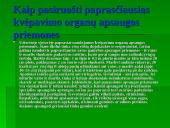 Gyventojų ir turto apsauga įvykus cheminėms avarijoms, apsaugos planavimas, gyventojų veiksmai, naudojamos apsaugos priemonės 11 puslapis