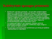 Gyventojų ir turto apsauga įvykus cheminėms avarijoms, apsaugos planavimas, gyventojų veiksmai, naudojamos apsaugos priemonės 14 puslapis