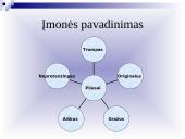 Įmonės ir organizacijos įvaizdis 11 puslapis