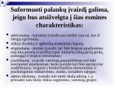 Įmonės ir organizacijos įvaizdis 14 puslapis