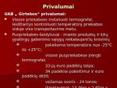 Įmonių palyginimas: UAB "Girteka" ir UAB "Transmota" 12 puslapis