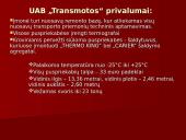 Įmonių palyginimas: UAB "Girteka" ir UAB "Transmota" 15 puslapis