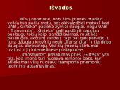 Įmonių palyginimas: UAB "Girteka" ir UAB "Transmota" 16 puslapis