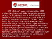 Įmonių palyginimas: UAB "Girteka" ir UAB "Transmota" 3 puslapis