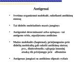 Imunoglobulinai 2 puslapis